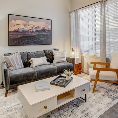 Generous living spaces with beautiful natural lighting a living room with a couch and a table