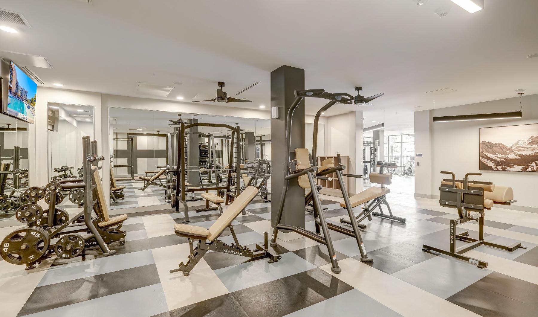 Get your workout on a gym with exercise equipment