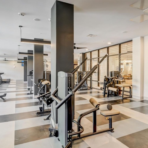 Get your workout on a gym with exercise equipment